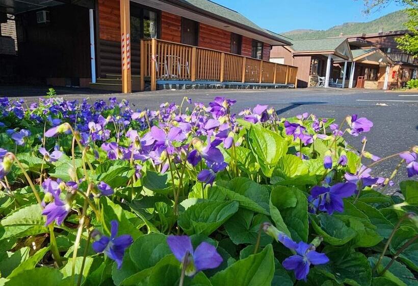 فندق صغير Lake Crest Inn