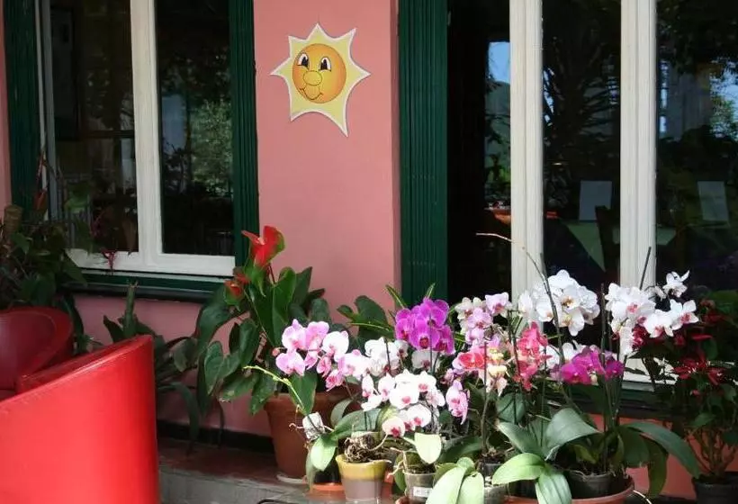 Hotelli 5 Terre Nel Sole