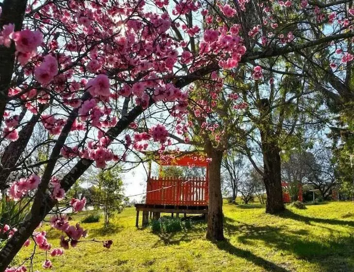 モーテル Poplars Inn Mittagong