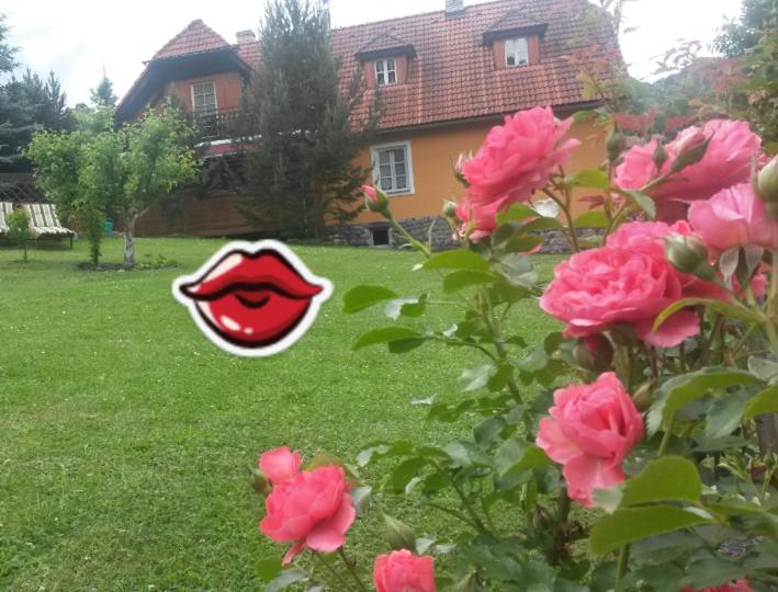 פנסיון Bella Vita