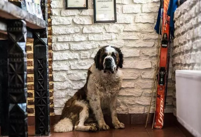 Pensiunea Padina Ursului