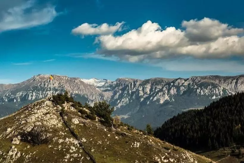 Pensiunea Padina Ursului