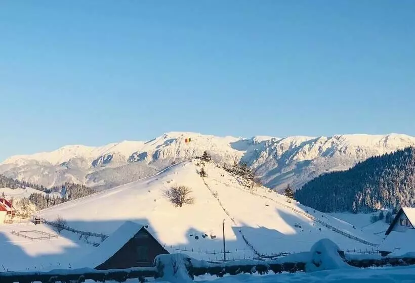 Pensiunea Padina Ursului