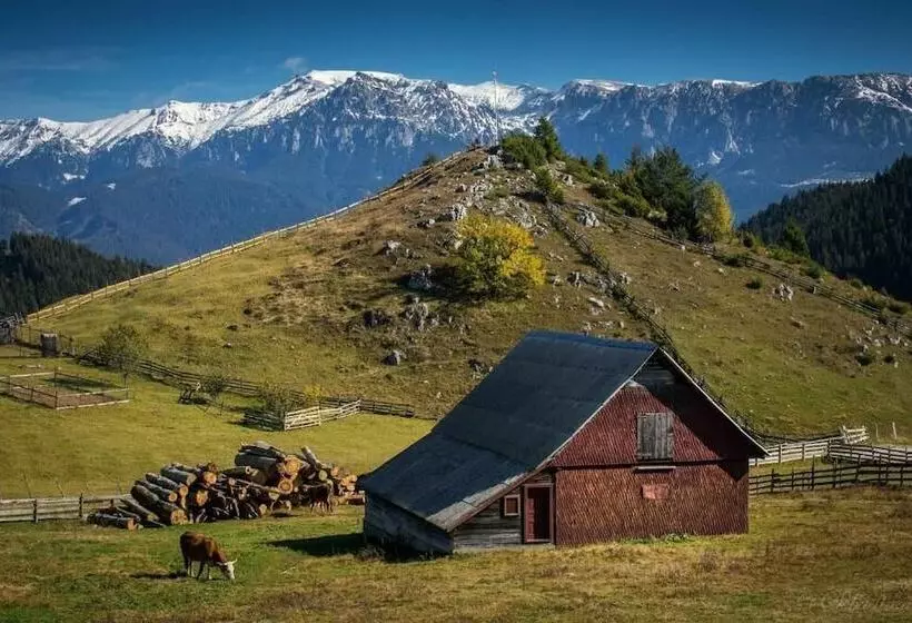 Pensiunea Padina Ursului