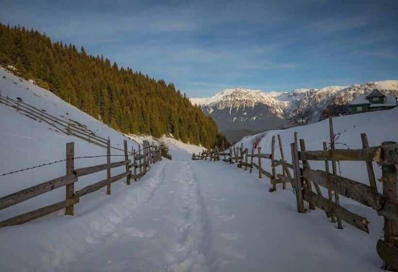 Pensiunea Padina Ursului