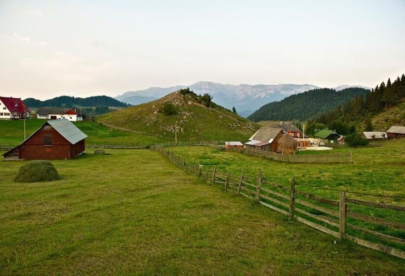 Pensiunea Padina Ursului