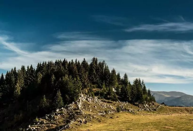 Pensiunea Padina Ursului