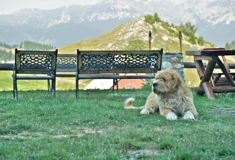 Pensiunea Padina Ursului