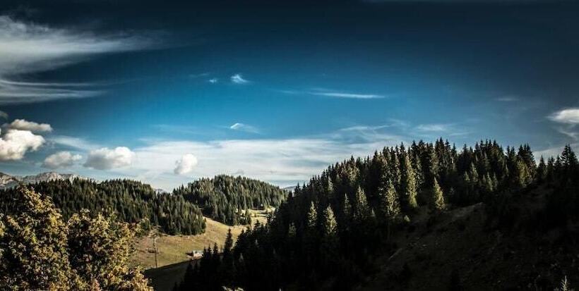 Pensiunea Padina Ursului