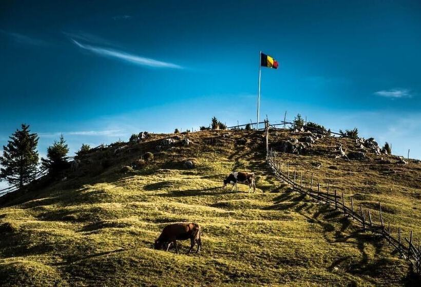 Pensiunea Padina Ursului