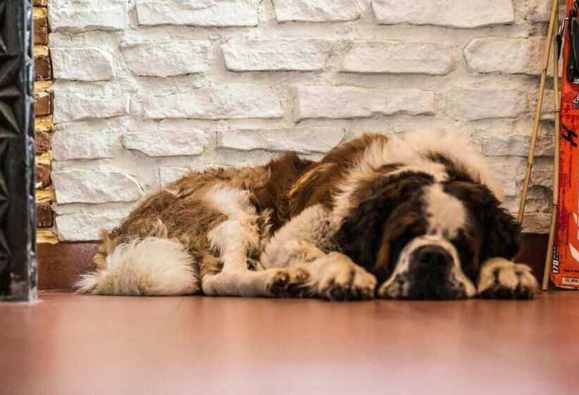 Pensiunea Padina Ursului