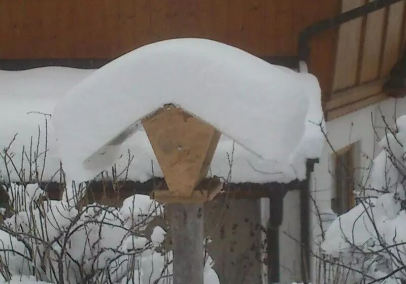 Pension Alpenstern