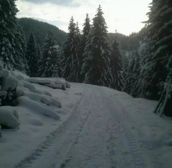 Pension Alpenstern