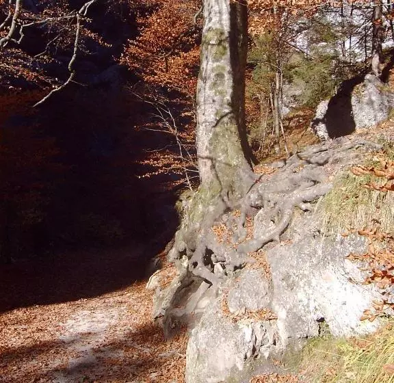 Pension Alpenstern