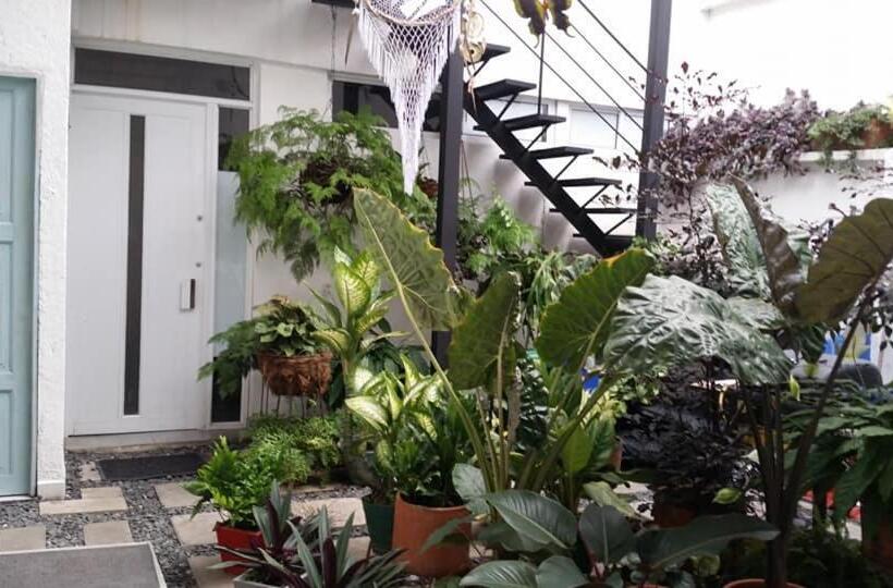 Auberge Hôtelière Moonshine Boutique Hostal