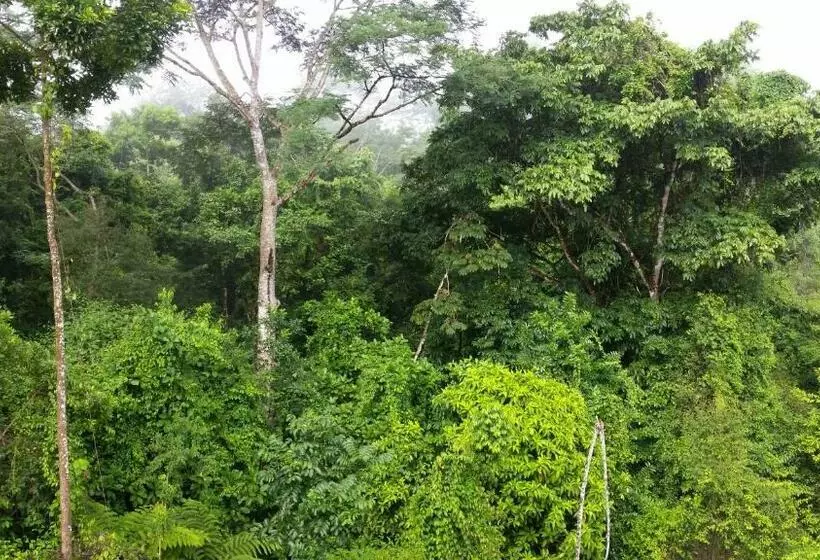 ホテル Finca Sueno De Osa