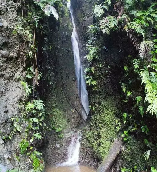 ホテル Finca Sueno De Osa
