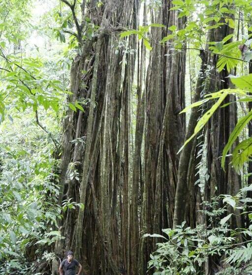هتل Finca Sueno De Osa