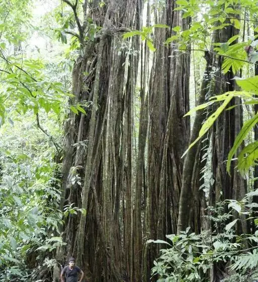 ホテル Finca Sueno De Osa