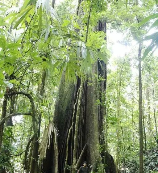 ホテル Finca Sueno De Osa