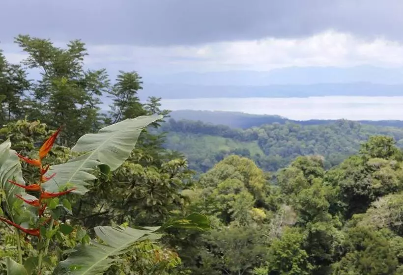 ホテル Finca Sueno De Osa