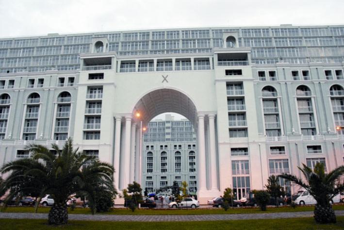 Magnolia Near The Sea
