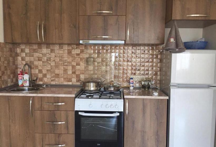 Magnolia Near The Sea