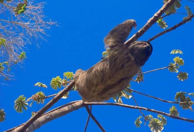 膳宿费 Pousada Labella Monick