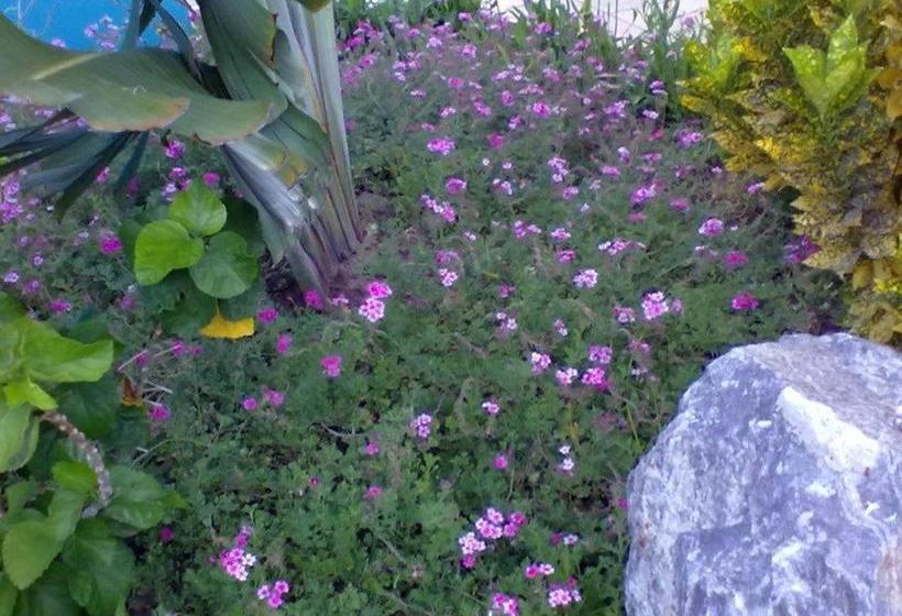 膳宿费 Pousada Labella Monick