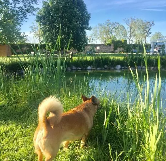 בית מלון כפרי Albergo Cosmera