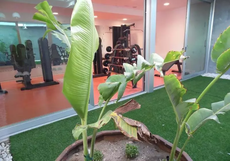 בית מלון כפרי Nayra - Adults Only