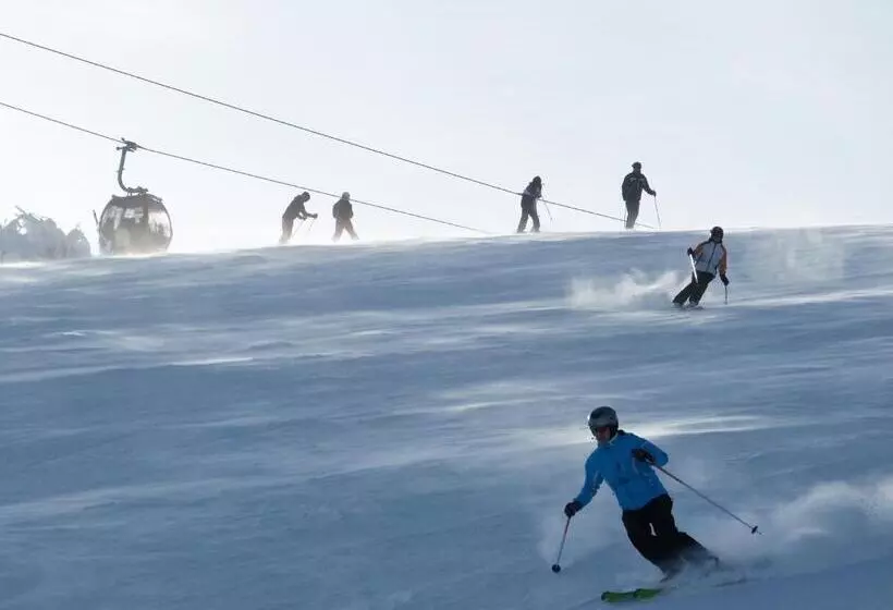 Alm Appartements Ehemals Birkenhof