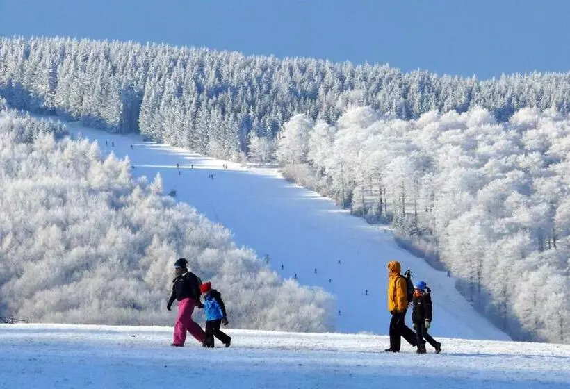 Alm Appartements Ehemals Birkenhof