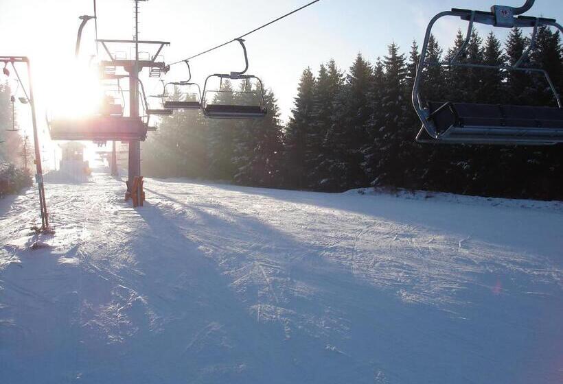 Alm Appartements Ehemals Birkenhof