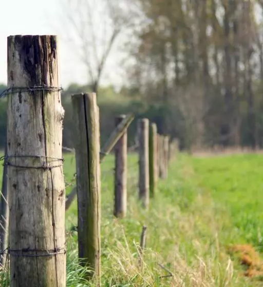 Alm Appartements Ehemals Birkenhof