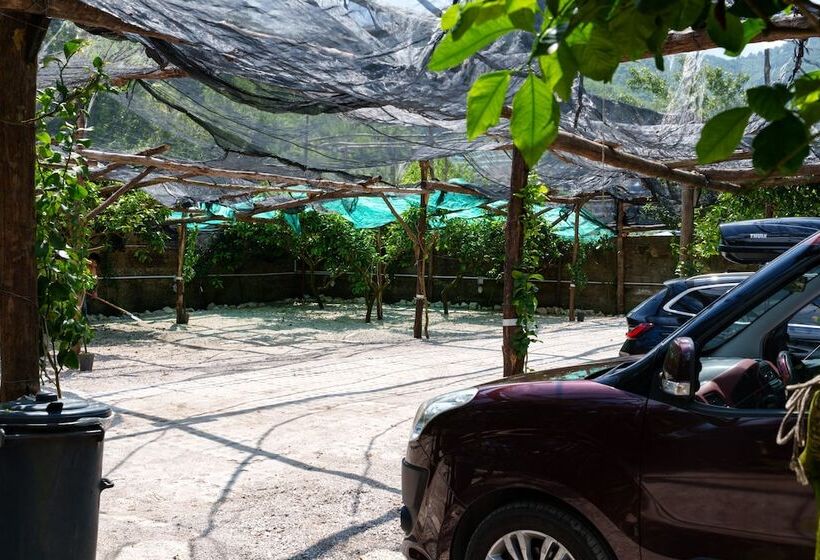 تختخواب و صبحانه Montagnella Relax