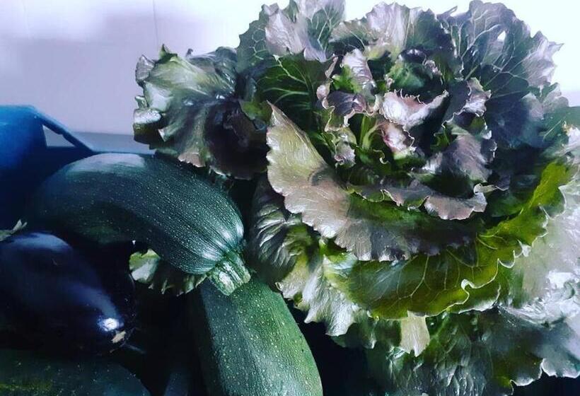 ホテル Albergo Labotte