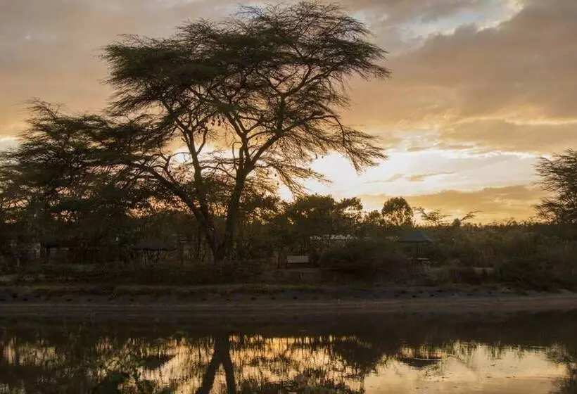 هتل Ziwa Bush Lodge