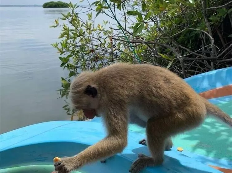 Karunakarala Ayurveda Resort