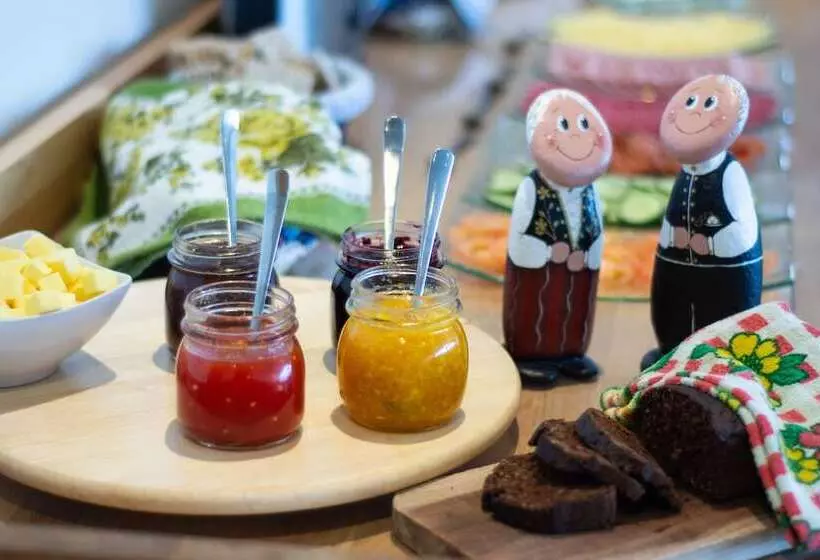 Hotel Glacier World   Hoffell Guesthouse