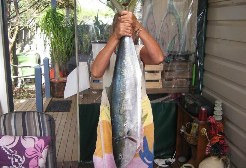 בית מלון כפרי Karikari Lodge