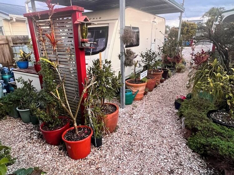 בית מלון כפרי Karikari Lodge