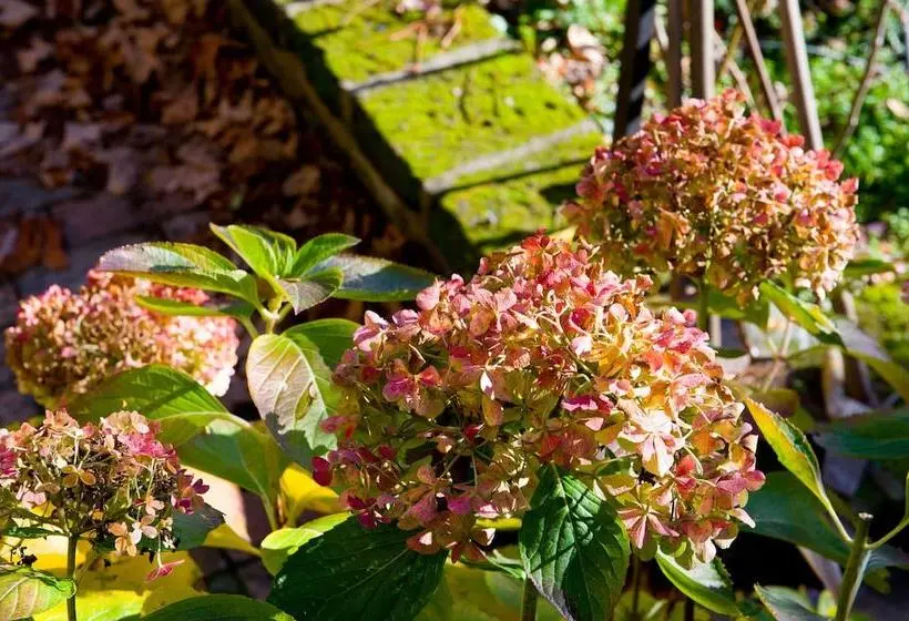 Hotelli Palazzo Contino