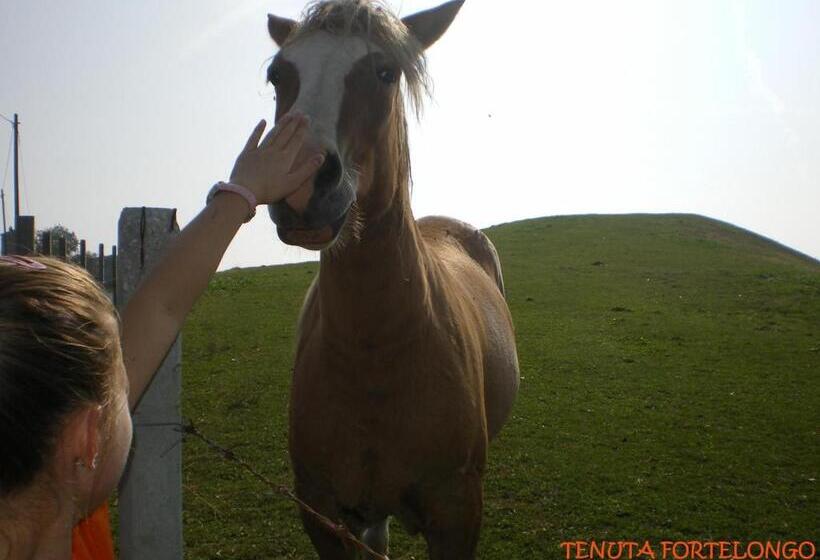 ホテル Tenuta Fortelongo