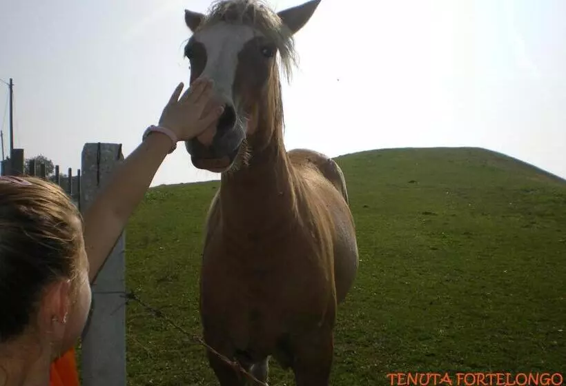 Hotelli Tenuta Fortelongo