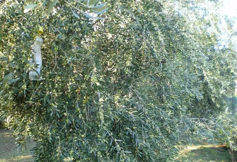 Hotelli Tenuta Fortelongo