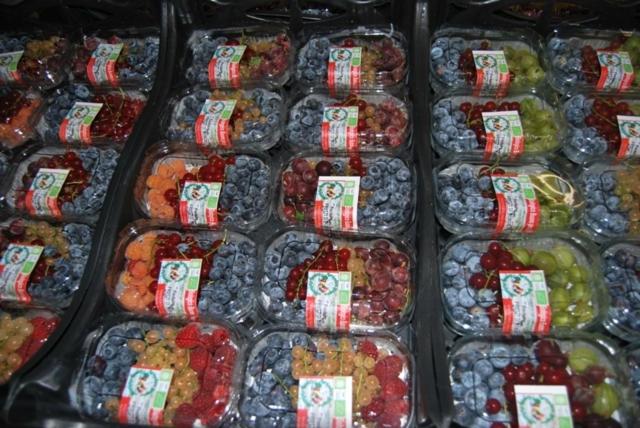 ホテル Tenuta Fortelongo