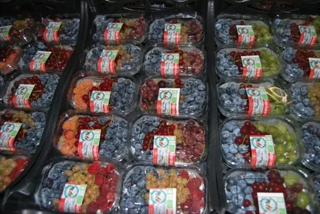 Hotelli Tenuta Fortelongo