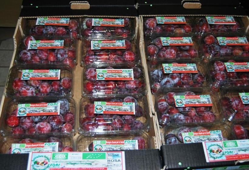 ホテル Tenuta Fortelongo