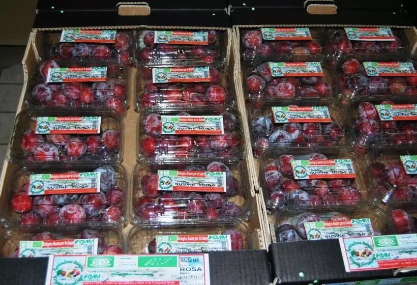 Hotelli Tenuta Fortelongo